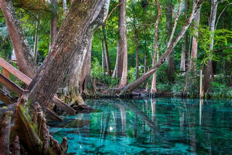 5 Gorgeous Natural Springs To Check Out Around Miami Secret Miami