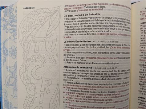 Biblia De Apuntes Rvr Ed Ilustrada Tela Rosada Y Azul Rvr