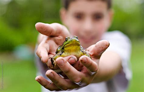 Boy Holding Frog By Rob Sylvan Stocksy United