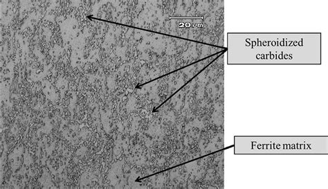 Microstructure Of Martensitic Stainless Steel Din 14110 In The As