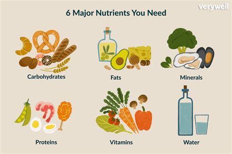 What Nutrient Supplies The Most Calories Per Gram Nosyanireland