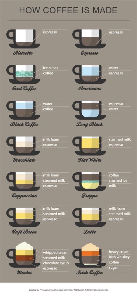 Coffee Infographic Everything You Need To Know About Coffee Speciality