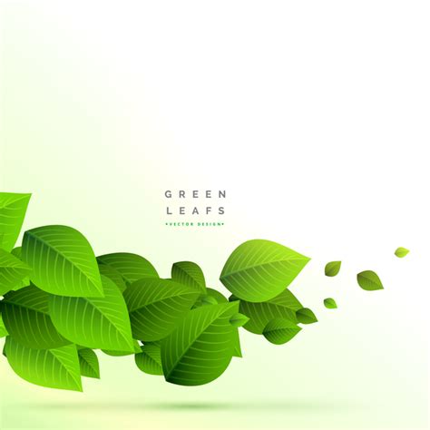 112 Background Design Leaves For Free Myweb