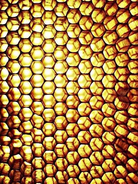 4k Honeycomb Wallpaper Wallpaper Sun