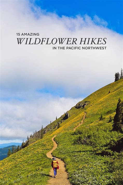 Best Hikes To See Pacific Northwest Wildflowers Pacific Northwest