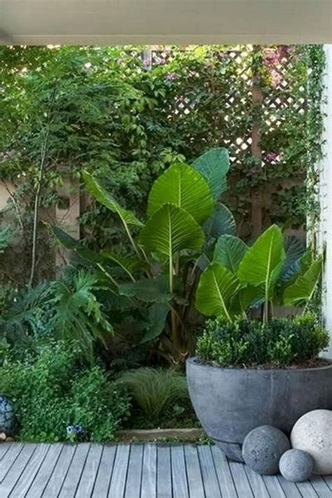 30 Gorgeous Tropical Garden Plants Ideas For You Home Decor