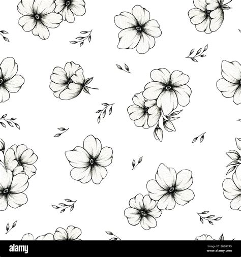 Seamless Floral Pattern Design On White Black Line Drawing Flowers