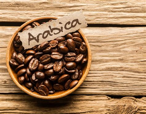 nggak  robusta  jenis kopi    indonesia rasanya gimana