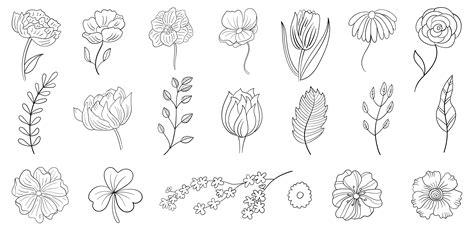 Flores Vector Art Icons And Graphics For Free Download