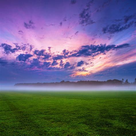 500x500 Green Grass And Fogg Under Purple Sky During Sunset 500x500