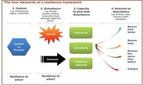 Elements Of Disaster Resilience Download Scientific Diagram