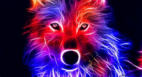 Red Wolf Wallpapers Wallpapers Box