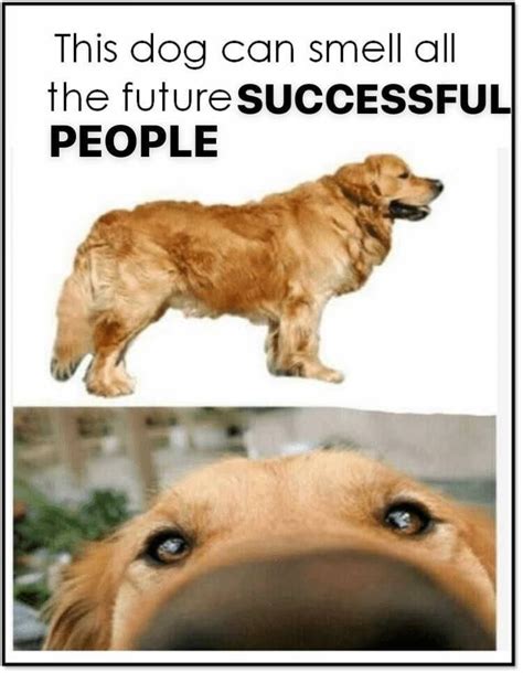 And Hes Never Wrong Dog Smelling Successful People Funny Pictures