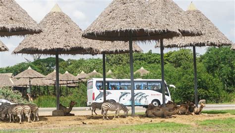 A Happy Mum | Singapore Parenting Blog | Bangkok itinerary ...