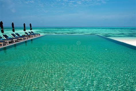 Luxury Tropical Swimming Pool Stock Photo Image Of Holiday Landscape