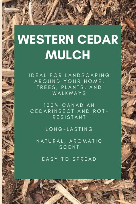 Western Cedar Mulch Landscaping Supplies Landscape Mulch