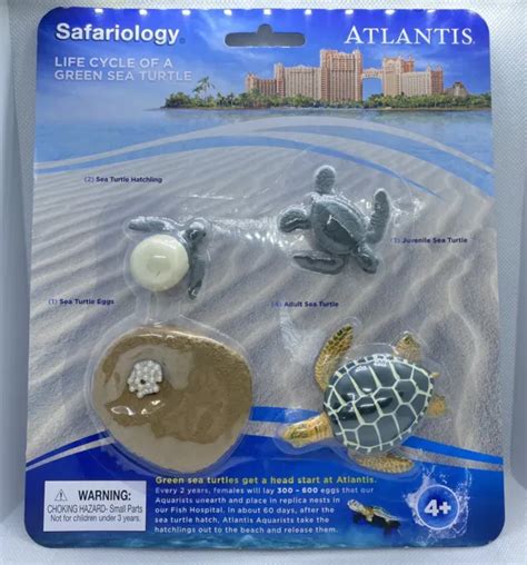 Life Cycle Of A Green Sea Turtle Safari Ltd New Toys Educational
