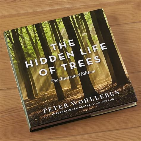 The Hidden Life Of Trees By Peter Woilleben