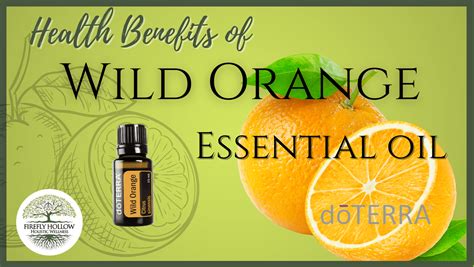 Wild Orange Essential Oil Health Benefits Firefly Hollow Wellness