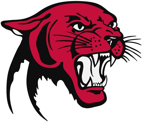 Panther Png Picture Png All