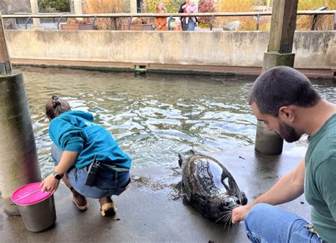 New Bedfords Buttonwood Park Zoo Is Thrilled To Introduce Two New