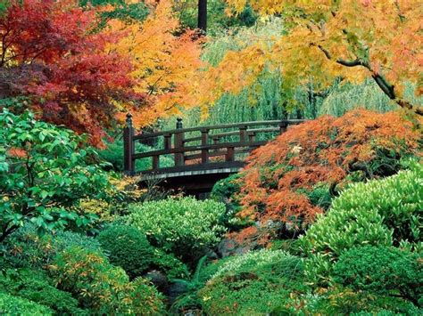 Pin By Marcia Ferguson On Peaceful Places Portland Japanese Garden