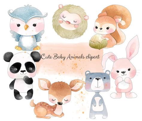 Baby Animals Woodland Clipart Instant Download Png File 300 Etsy Uk