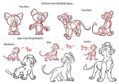 How To Draw A Lion Cub Step By Step Drawing Guide By Dawn Dragoart