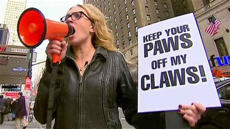 Kat Timpf Protests Westminster Dog Show Welcoming Cats On Air Videos