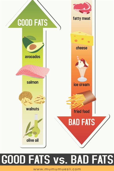 The Essential List Of Healthy Fats That Will Make You Healthier