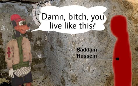 Damn Bitch You Live Like This Saddam Husseins Hiding Place Know Your Meme
