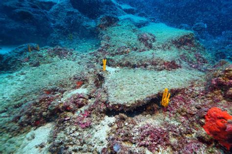 Worlds Oldest Shipwreck Found In Mediterranean Say Officials