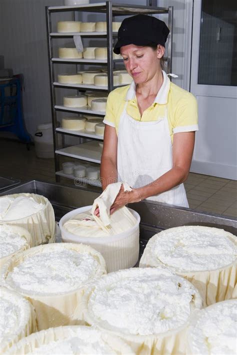 Cheesemaker Preparing Fresh Cheese Stock Image Image Of Expert Food