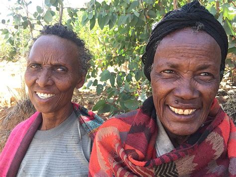 Planters On The Frontline Adjustment And Even Improvement In Ethiopia