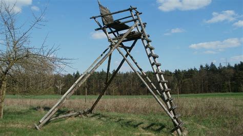 How To Build A Ladder Stand For Deer Hunting Deer