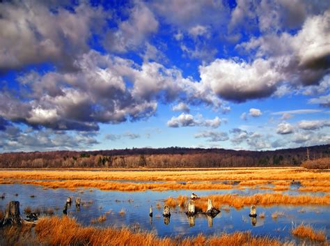 Free Images Landscape Grass Horizon Marsh Wilderness Mountain