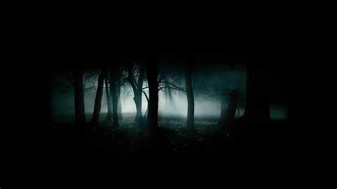 575 Wallpapers All 1080p No Watermarks Post Scary Backgrounds Forest Sounds Night Forest