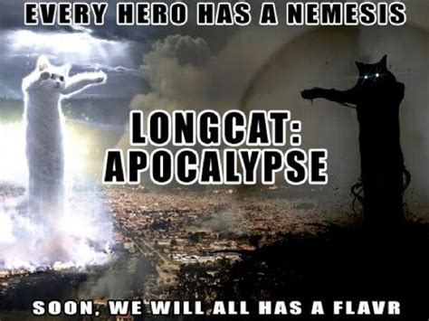 Longcat The Internet Meme Icon Dies Aged 18 Cnet