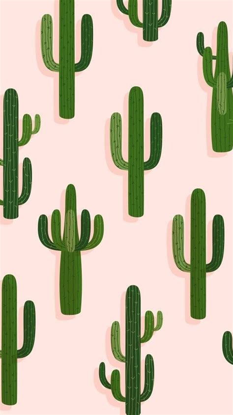 Free Download Cactus Against Yellow Background Yellow Background Cactus