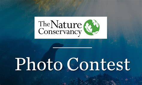 Nature Conservancys Global Photo Contest 2021 Photo Contest Deadlines