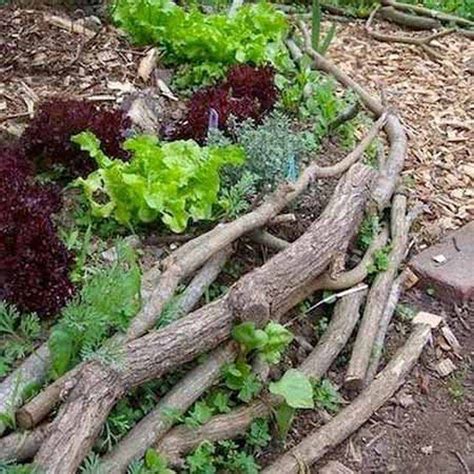 Build Your Natural Wood Raised Garden In 11 Effortless Steps Diy