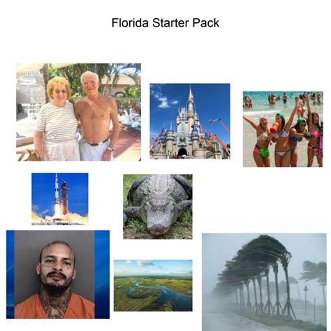 Making A Starterpack For Every State In The Us Part 30 Florida R