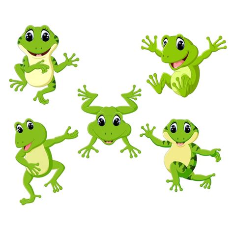 Premium Vector Set Collection Cute Frog Cartoon