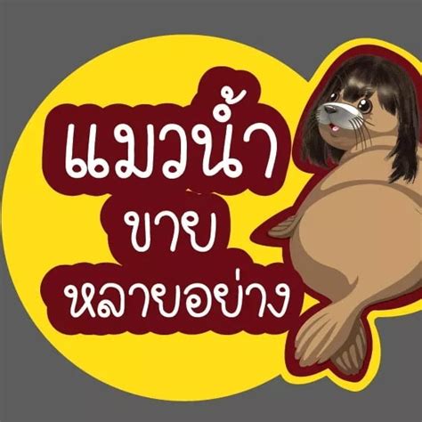 ความปัง ความอลัง ที่แท้ทรู ‼️ บาบาร่าไขผึ้งฝรั่งเศสชั้นดี จะเสกสาวๆทั่วประเทศให้ บล็อก ล็อก เนียน ตัวแทนเตรียมรวย การตลาดร้อนแรง. ได่ข่าวว่า ค่ายทรู บล็อกเว็บ PornHub 🤣... - แมวน้ำขายหลาย ...
