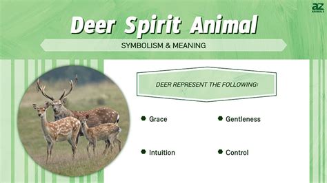 Deer Spirit Animal Symbolism And Meaning A Z Animals