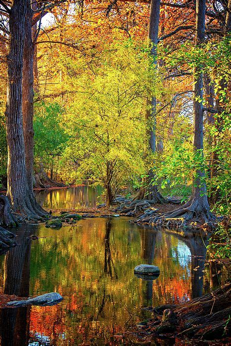 Fall Reflections Along The Creek At Cibolo Nature Center 2 By Lynn