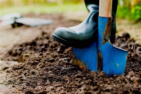 Essential Garden Tools To Complete Your Gardening Tool Kit