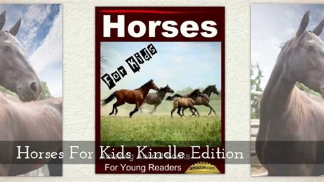 Facts About Horses Horses For Kids Amazing Animal