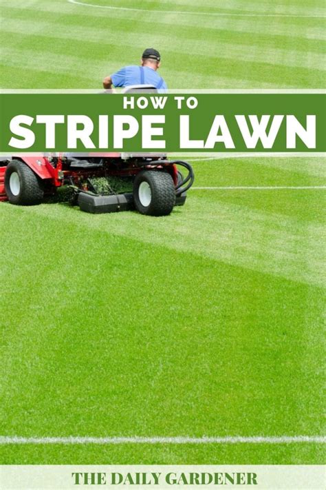 How To Stripe A Lawn 6 Tips