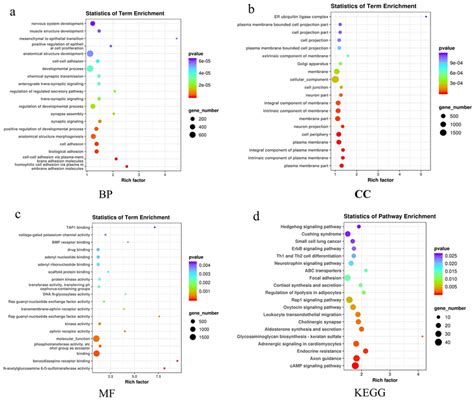 Go Enrichment And Kegg Pathway Analysis Of The 22 Dems Comparing Sclc Download Scientific